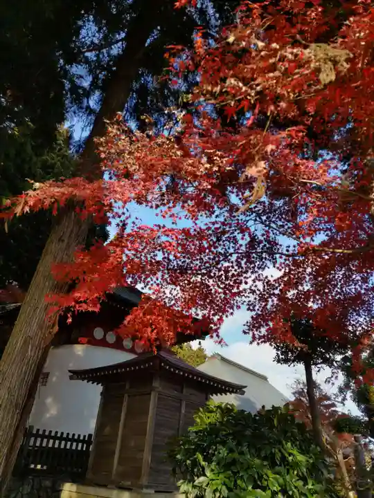 安楽寺の末社・摂社