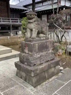 白山神社の狛犬
