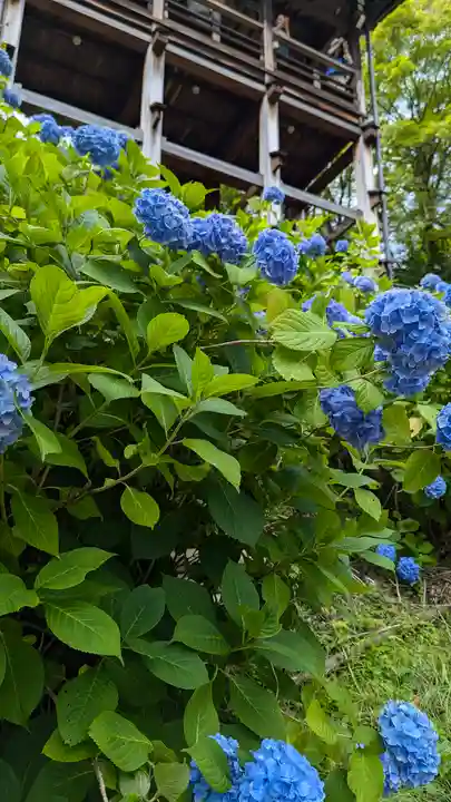 善峯寺(京都府)