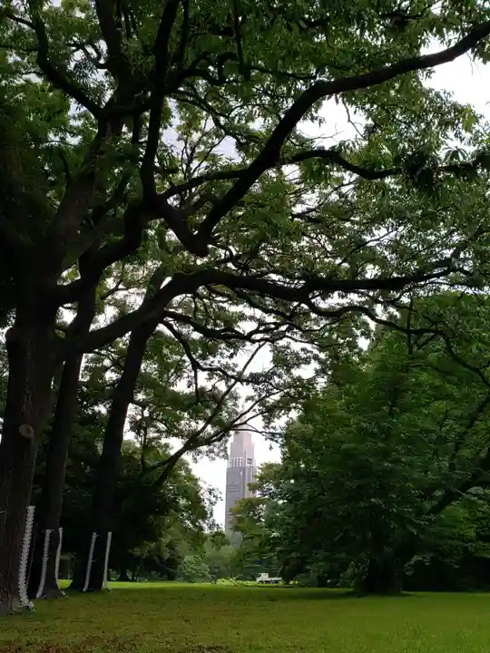 明治神宮(東京都)