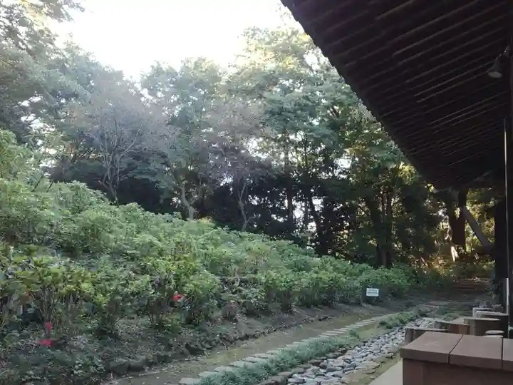 妙楽寺(神奈川県)