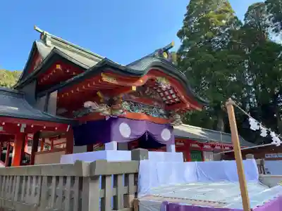 霧島神宮(鹿児島県)