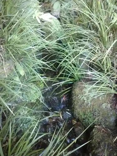 報国寺(神奈川県)