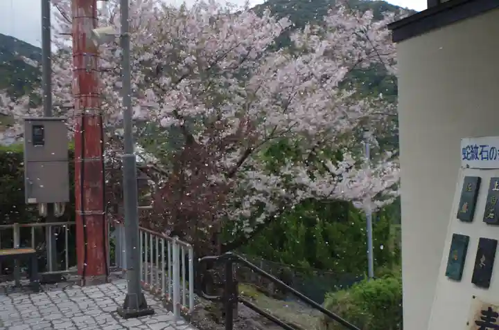 熊野那智大社(和歌山県)