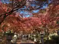 高山寺(兵庫県)