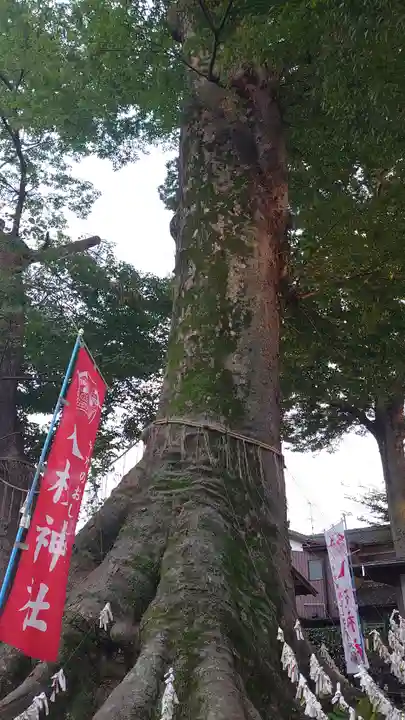 八枝神社の自然