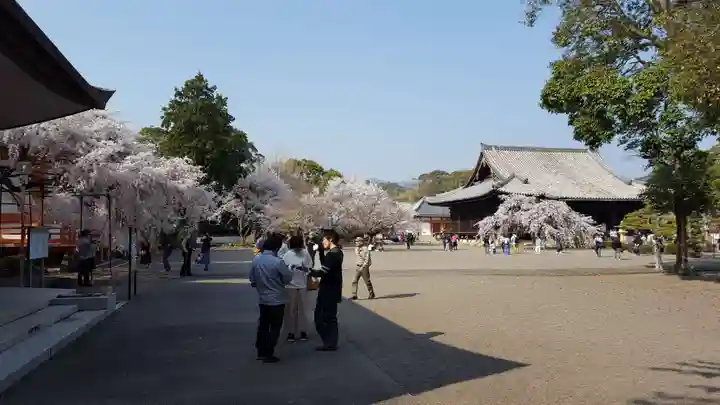 道成寺のその他建物