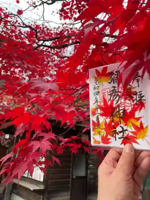 せっかくなので紅葉とパシャリ
手がつりそう😭