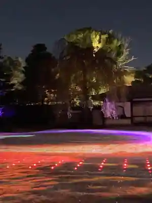 高台寺（高台寿聖禅寺・高臺寺）(京都府)