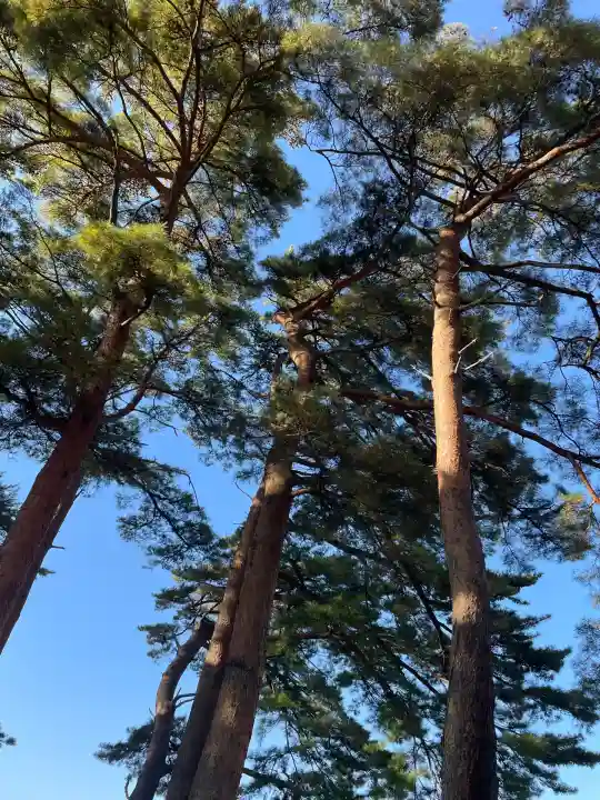 南湖神社(福島県)