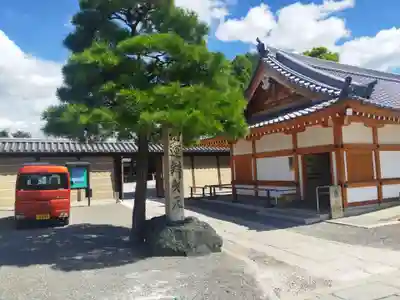 東寺（教王護国寺）(京都府)