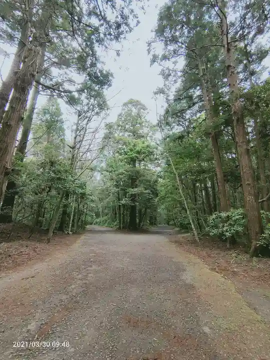 鹿島神宮の自然