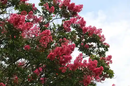 延命寺の庭園