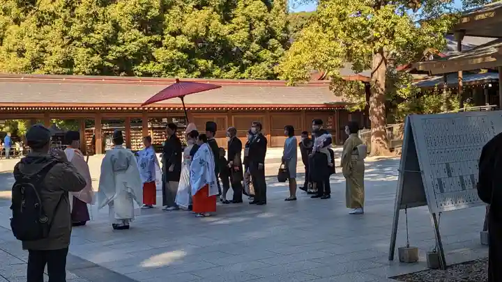 明治神宮(東京都)