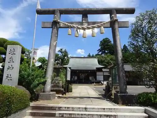 埴生神社の鳥居