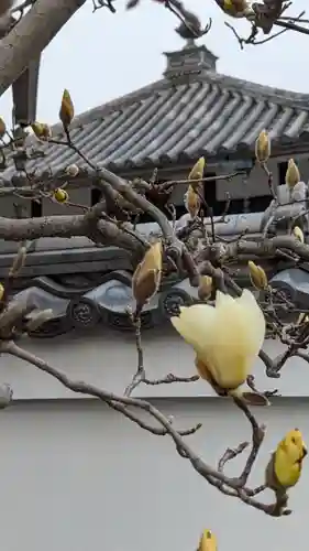 圓光寺(円光寺)(京都府)