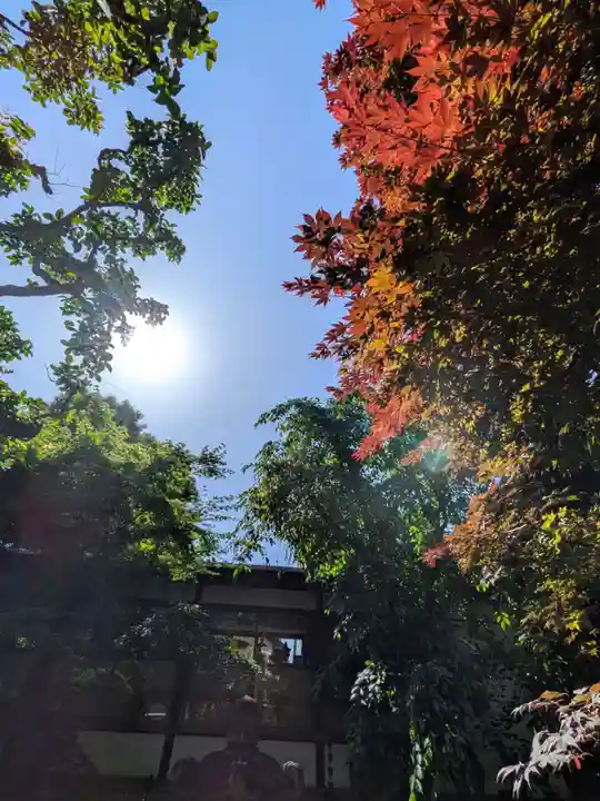 行慶寺(東京都)