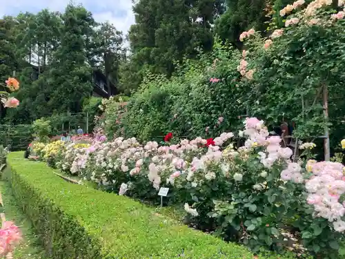 霊山寺(奈良県)