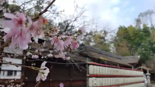 平野神社の自然