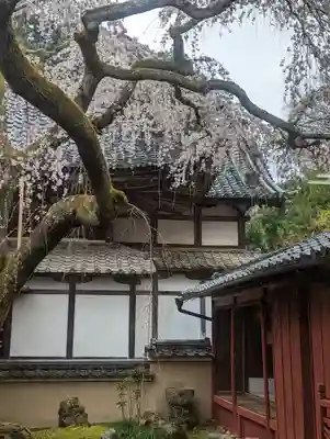 十輪寺(京都府)