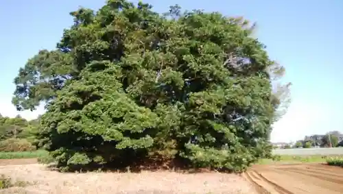 甕森神社の周辺