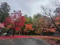 鷹栖神社の自然