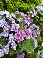 花園稲荷神社(東京都)