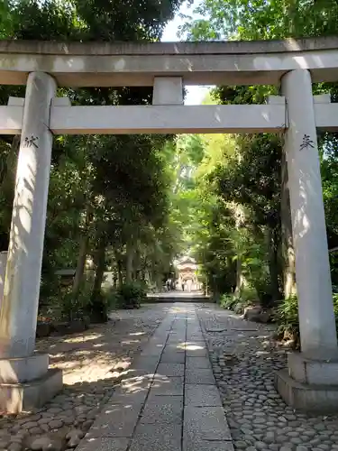 代々木八幡宮の鳥居