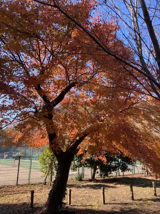 永福寺跡(永福寺址)の自然