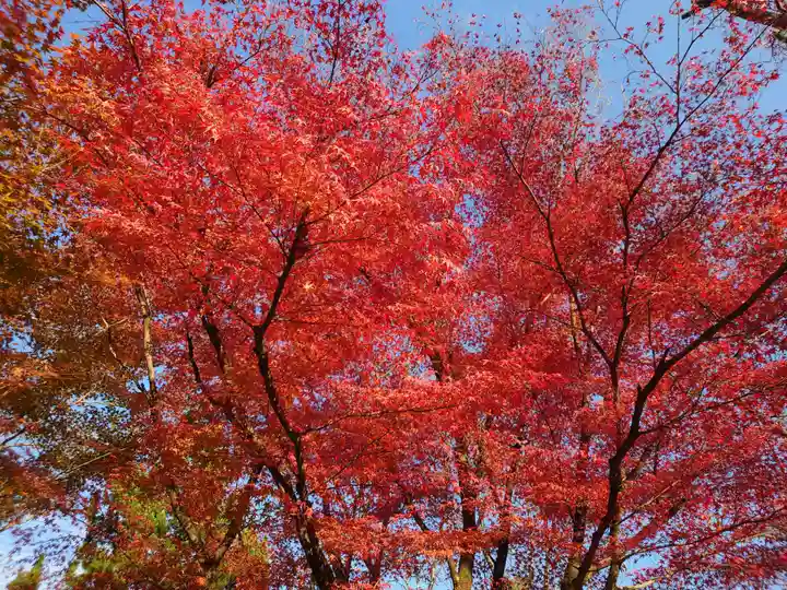 南禅寺(京都府)