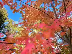 山家神社の自然