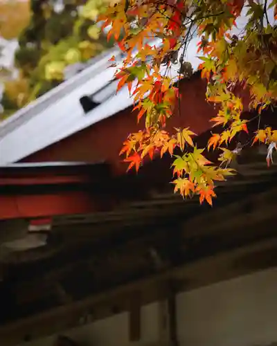 小谷寺(滋賀県)