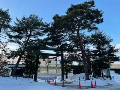 白石神社の鳥居