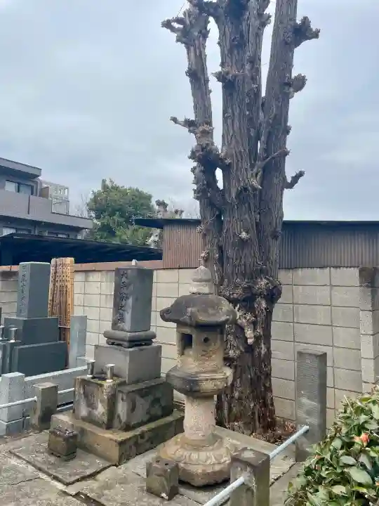清源寺の{uncategorized: "未分類", other: "その他", undefined: "問題あり", building: "その他建物", grave: "お墓", sacred_gate: "鳥居", guardian: "狛犬", statue: "像", buddha: "仏像", history: "歴史", nature: "自然", garden: "庭園", animal: "動物", pagoda: "塔", temizu: "手水舎", mountain_gate: "山門・神門", sanctuary: "本殿・本堂", subordinate: "末社・摂社", art: "芸術", scenery: "景色", jizo: "地蔵", ema: "絵馬", goshuin: "御朱印", omikuji: "おみくじ", items: "授与品その他", amulet: "お守り", goshuincho: "御朱印帳", eats: "食事", festival: "お祭り", votive_dance: "神楽", shichigosan: "七五三参", wedding: "結婚式", experience: "体験その他", initially: "初詣", around: "周辺", anti_infection: "感染症対策"}