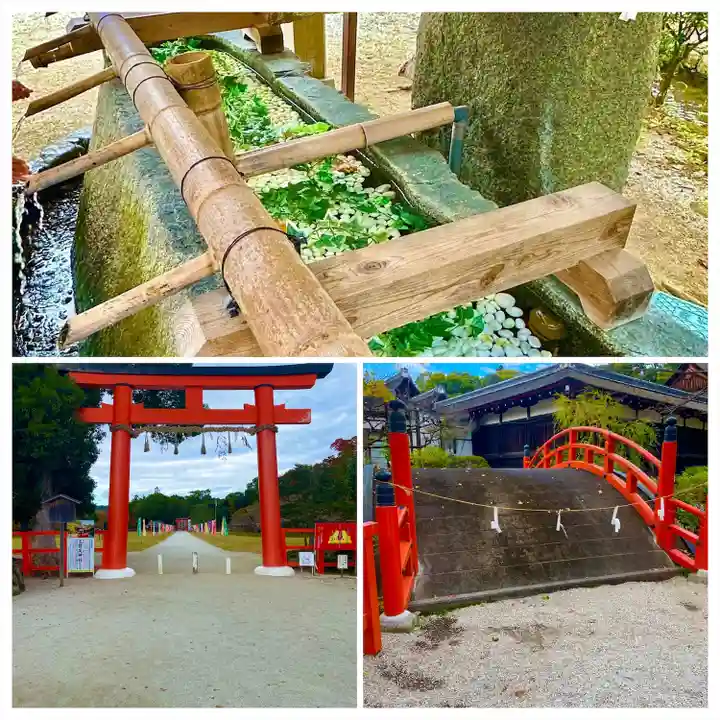 賀茂別雷神社(上賀茂神社)(京都府)