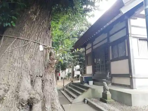 天照神社の本殿・本堂