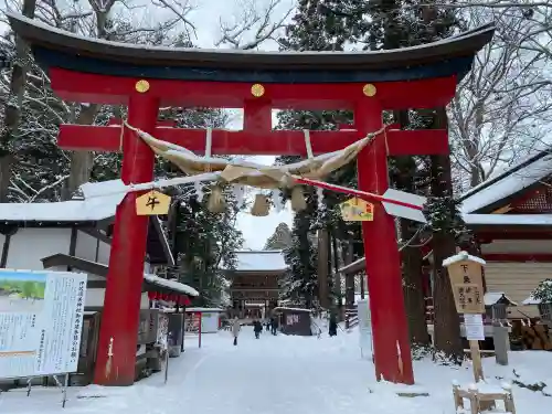 伊佐須美神社の{uncategorized: "未分類", other: "その他", undefined: "問題あり", building: "その他建物", grave: "お墓", sacred_gate: "鳥居", guardian: "狛犬", statue: "像", buddha: "仏像", history: "歴史", nature: "自然", garden: "庭園", animal: "動物", pagoda: "塔", temizu: "手水舎", mountain_gate: "山門・神門", sanctuary: "本殿・本堂", subordinate: "末社・摂社", art: "芸術", scenery: "景色", jizo: "地蔵", ema: "絵馬", goshuin: "御朱印", omikuji: "おみくじ", items: "授与品その他", amulet: "お守り", goshuincho: "御朱印帳", eats: "食事", festival: "お祭り", votive_dance: "神楽", shichigosan: "七五三参", wedding: "結婚式", experience: "体験その他", initially: "初詣", around: "周辺", anti_infection: "感染症対策"}