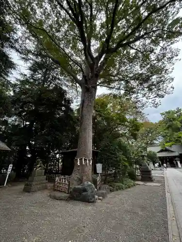 前鳥神社(神奈川県)