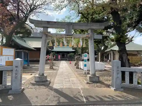 新曽氷川神社の鳥居