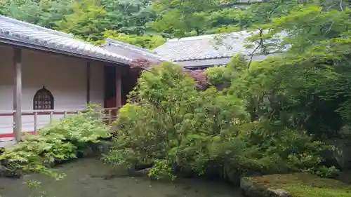 実相院門跡の庭園