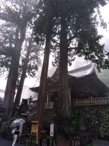 三峯神社の本殿