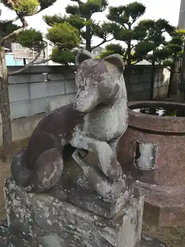 徳島稲荷神社の狛犬