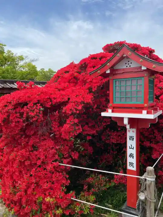 長岡天満宮(京都府)