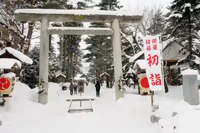 富良野神社の初詣