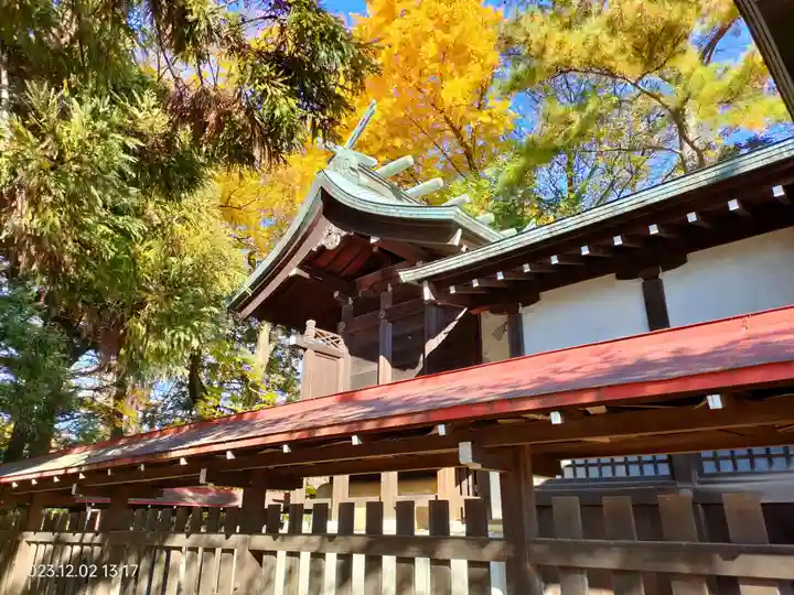 熊野神社(埼玉県)