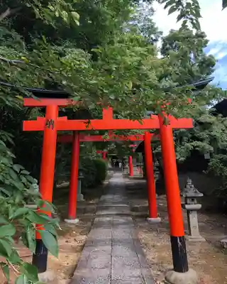 竹中稲荷神社(吉田神社末社)の鳥居