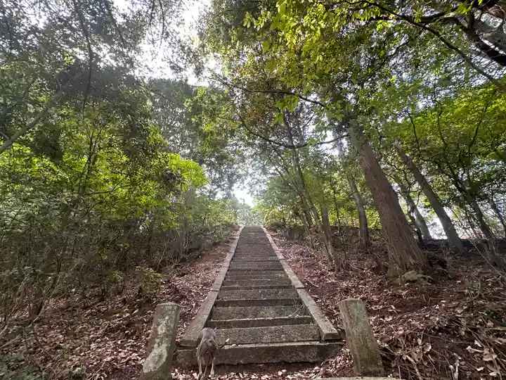 秋葉神社(京都府)