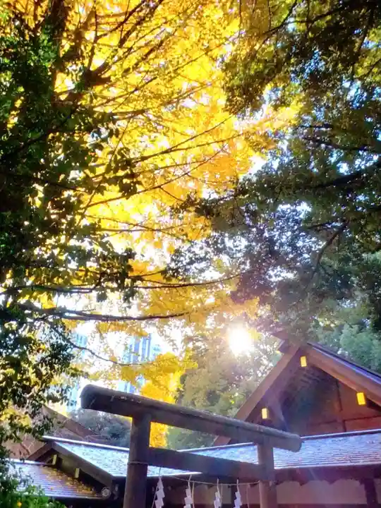 乃木神社(東京都)