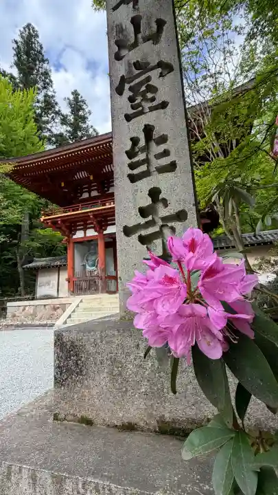 室生寺の{uncategorized: "未分類", other: "その他", undefined: "問題あり", building: "その他建物", grave: "お墓", sacred_gate: "鳥居", guardian: "狛犬", statue: "像", buddha: "仏像", history: "歴史", nature: "自然", garden: "庭園", animal: "動物", pagoda: "塔", temizu: "手水舎", mountain_gate: "山門・神門", sanctuary: "本殿・本堂", subordinate: "末社・摂社", art: "芸術", scenery: "景色", jizo: "地蔵", ema: "絵馬", goshuin: "御朱印", omikuji: "おみくじ", items: "授与品その他", amulet: "お守り", goshuincho: "御朱印帳", eats: "食事", festival: "お祭り", votive_dance: "神楽", shichigosan: "七五三参", wedding: "結婚式", experience: "体験その他", initially: "初詣", around: "周辺", anti_infection: "感染症対策"}