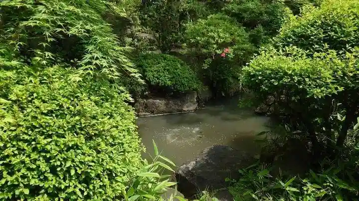 崇禅寺(群馬県)